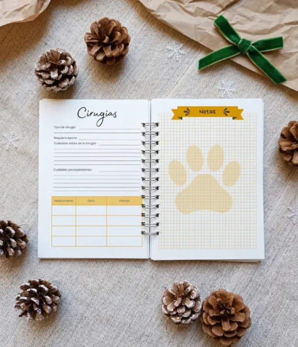 paginas de agenda control veterinario carnet control veterinario amarillo hojas de cirugia